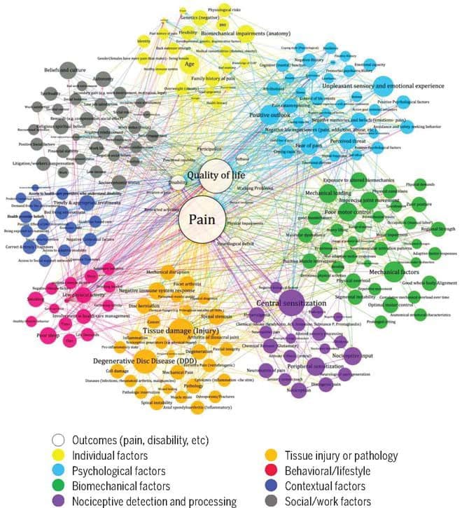 https://www.jospt.org/cms/10.2519/jospt.2019.8825/asset/images/large/jospt-425-fig001.jpeg